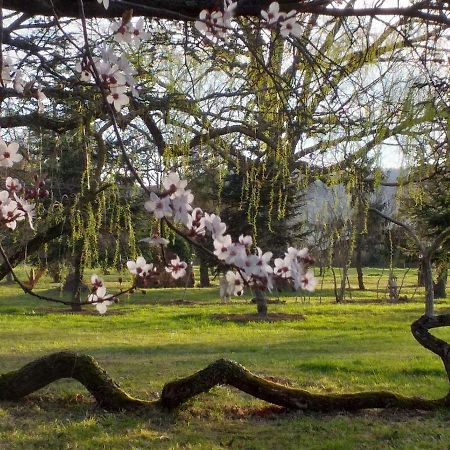 Domaine Berenguer Bed & Breakfast Ouches Eksteriør bilde